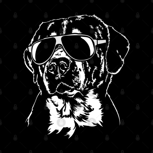 Proud Greater Swiss Mountain Dog sunglasses cool dog by wilsigns