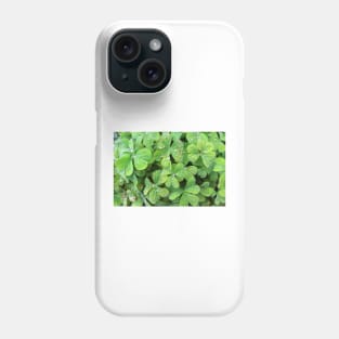 Green Trifolium Plant Foliage Phone Case