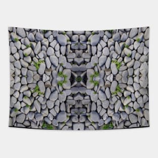 Beach pebbles,Sea pebbles Tapestry