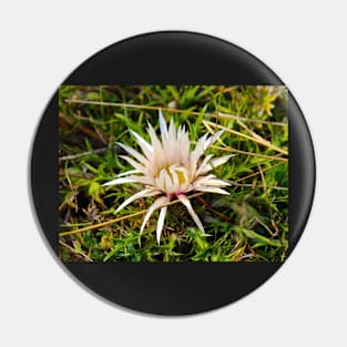 Mountain flower Pin