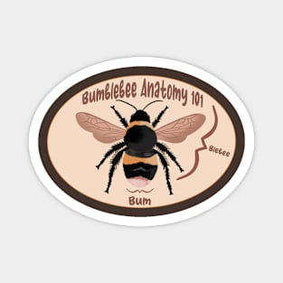 Bumblebee Anatomy Magnet