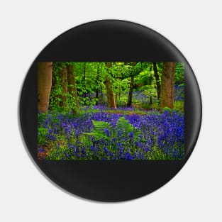 English Bluebells in Woodland Pin