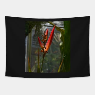 Bird of Paradise Tapestry