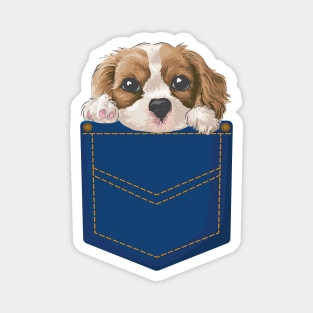 Cute Puppy in Pocket Magnet