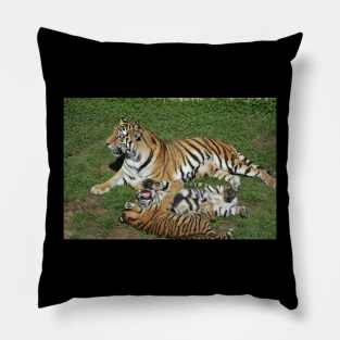 Tigers Pillow