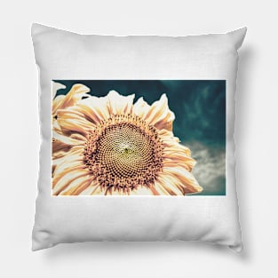 Sunflower With Bee 3 Pillow