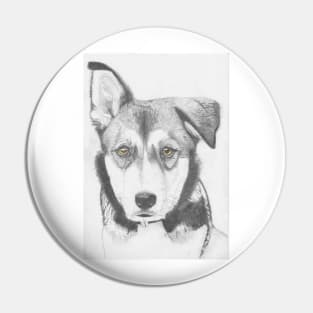 Husky Shepherd Cross with Brown Eyes Pin