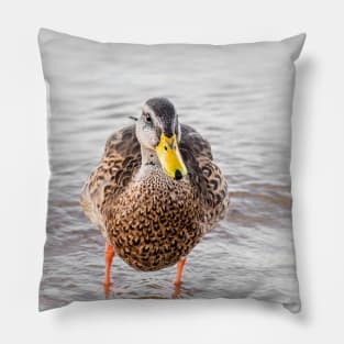 Cute Funny Mallard Duck Portrait Pillow