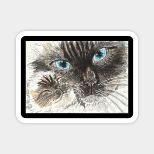 Mother and baby Siamese cat Magnet
