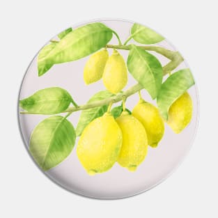 Lemons on branch Pin