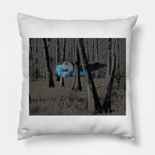 Will o Wisp Pillow