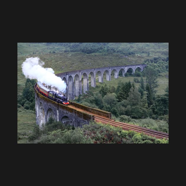 Steam Engine on the Glenfinnan viaduct by rhintl