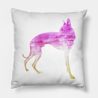 Pink & Yellow Waves Whippet Pillow