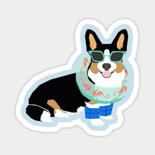 Tri Corgi Swimming Dog Magnet