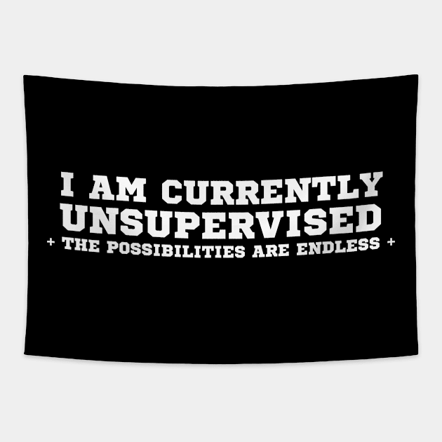 I Am Currently Unsupervised Tapestry by HobbyAndArt