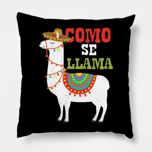 Cinco De Mayo Llama Fiesta Ultimate Party Vibe May 5th Pillow