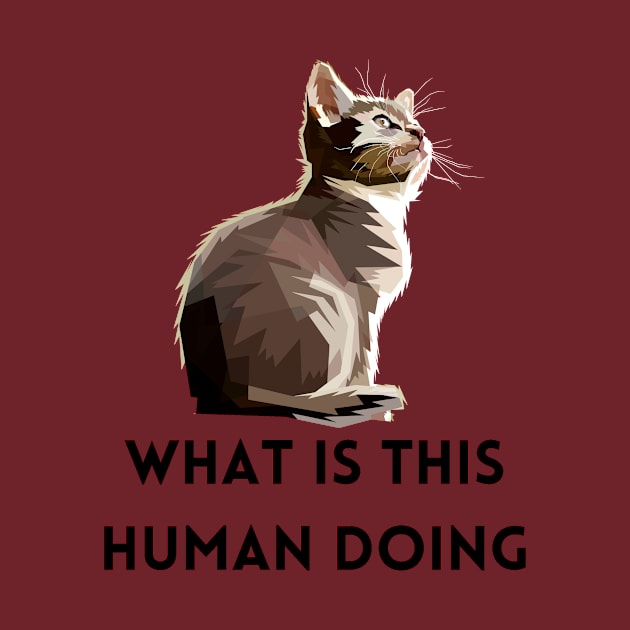 What Is This Human Doing Funny Cat Lovers Design by DressingDown