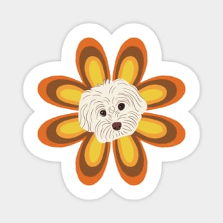 Retro Flower Maltipoo Dog Magnet