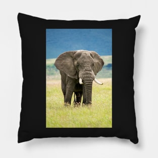 Elephant, Ngorongoro Crater, Tanzania Pillow