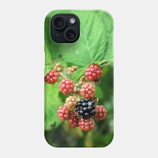 Berries Fresh Off the Vine Phone Case