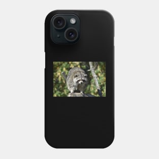 Fat Raccoon Phone Case