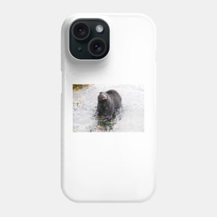 Wet Black Bear Shaking off water Phone Case