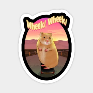 Guinea pig, Skateboard, Skating, Sunset, Wheek! Magnet