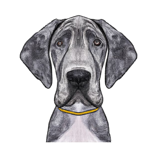 Cute Great Dane Drawing by Play Zoo