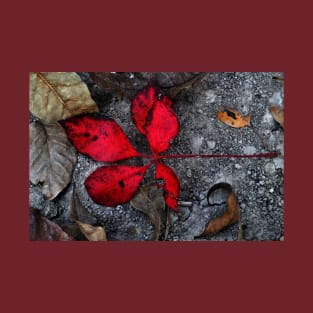 Red Leaf Down T-Shirt