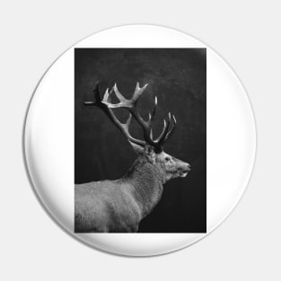 deer Pin