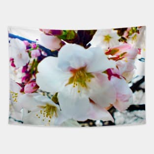 Photography - Vintage sakura Tapestry