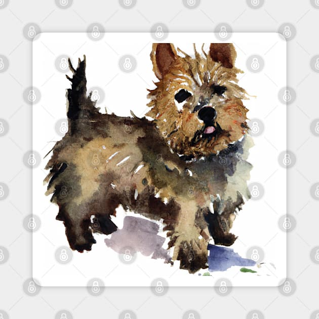 Watercolor Cairn Terrier - Dog Lovers Magnet by Edd Paint Something