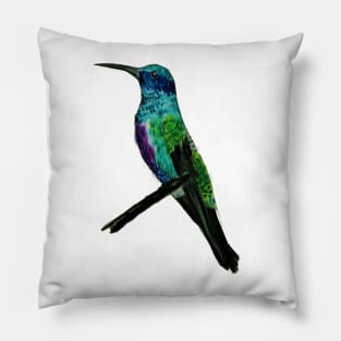 Hummingbird in Watercolor Markers Pillow