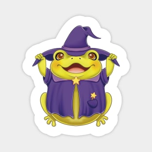 Wizard Frog Magnet