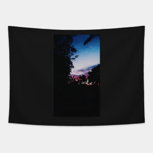 Pink sunset Tapestry