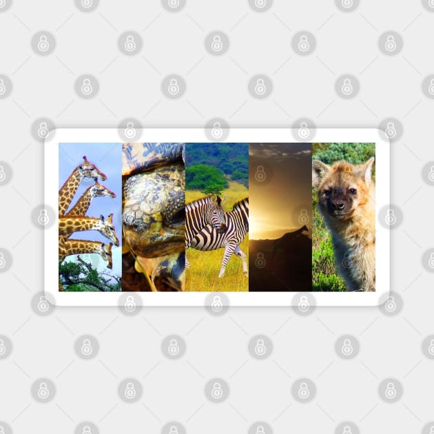 African Wildlife Photo Collage Magnet by PathblazerStudios