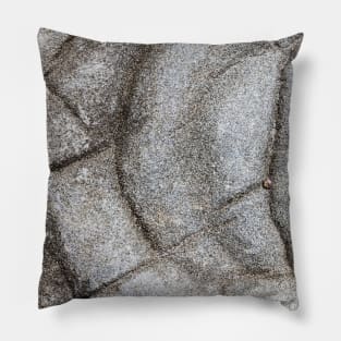 Circular Rock Formation Pillow