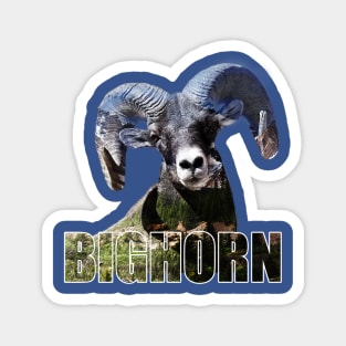 The Bighorn Magnet