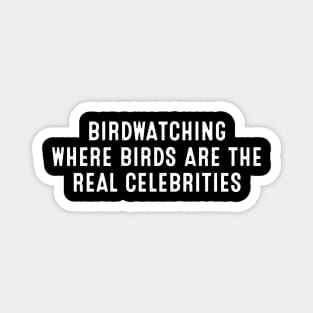 Birdwatching Where Birds Are the Real Celebrities Magnet