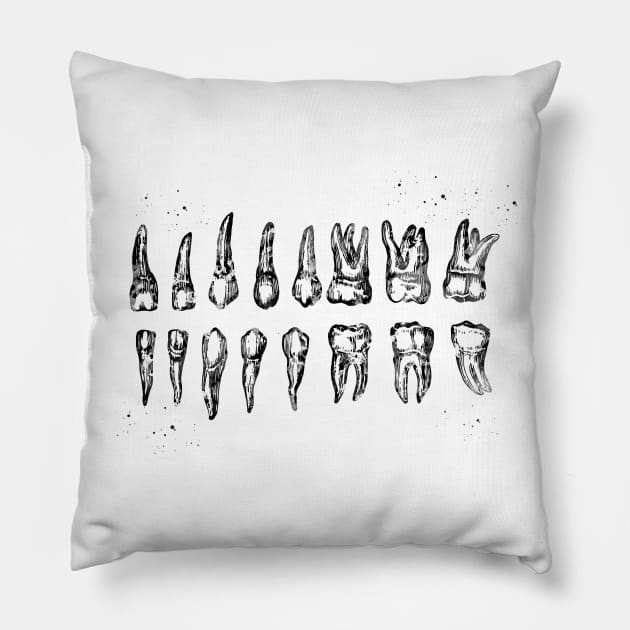 Teeth Diagram Pillow by erzebeth