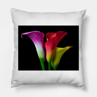 Three Colors Calla Lilies Pillow