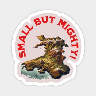 Wales Magnet