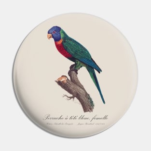 Rainbow Lorikeet female - 19th century Jacques Barraband Illustration Pin