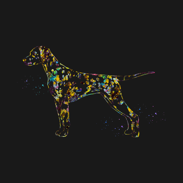 Dalmatian dog by erzebeth