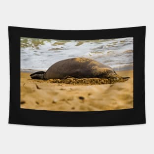 Monk seal 1 Tapestry