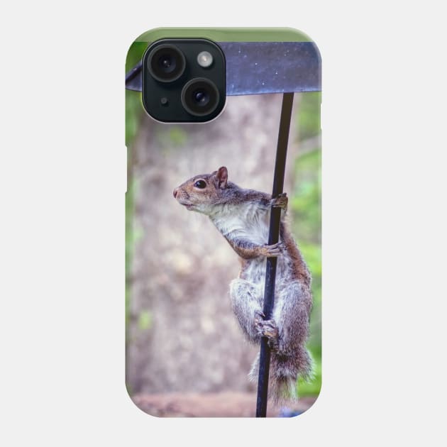 Grey squirrel on a pole Phone Case by iyd39