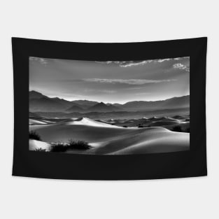 Mesquite Dunes Tapestry