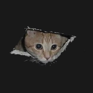 The same cat that looks out of a hole in the ceiling now looks out of a hole in anything! T-Shirt