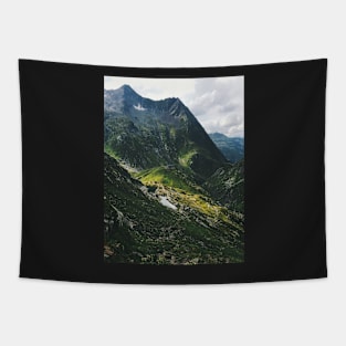 Swiss Alpine Wonderland Tapestry