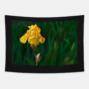 Yellow Iris photograph Tapestry